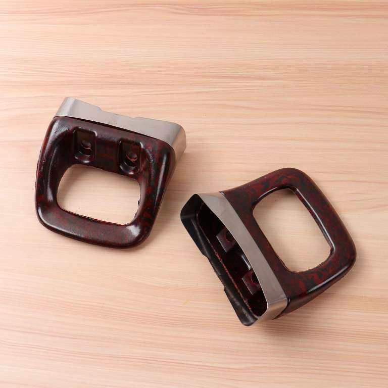 胶木侧耳前景分析